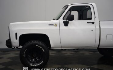 Chevrolet-Other-Pickups-1979-Pickup-Truck-27