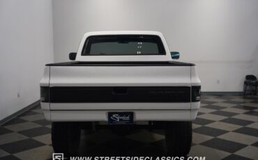 Chevrolet-Other-Pickups-1979-Pickup-Truck-29