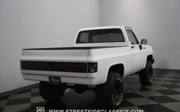 Chevrolet-Other-Pickups-1979-Pickup-Truck-30