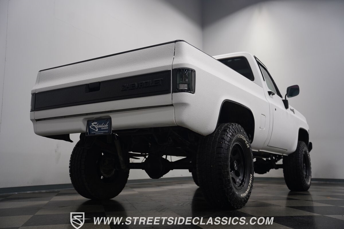 Chevrolet-Other-Pickups-1979-Pickup-Truck-32