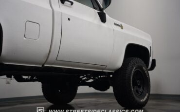 Chevrolet-Other-Pickups-1979-Pickup-Truck-33