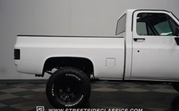 Chevrolet-Other-Pickups-1979-Pickup-Truck-34