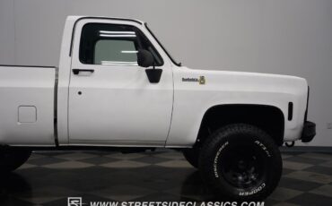 Chevrolet-Other-Pickups-1979-Pickup-Truck-35
