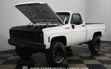 Chevrolet-Other-Pickups-1979-Pickup-Truck-36