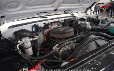 Chevrolet-Other-Pickups-1979-Pickup-Truck-37