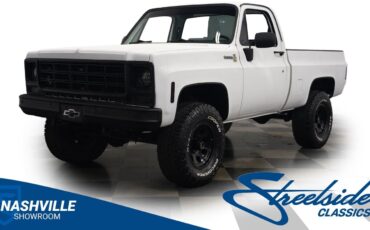 Chevrolet-Other-Pickups-1979-Pickup-Truck