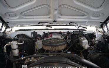 Chevrolet-Other-Pickups-1979-Pickup-Truck-38