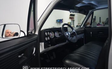 Chevrolet-Other-Pickups-1979-Pickup-Truck-4