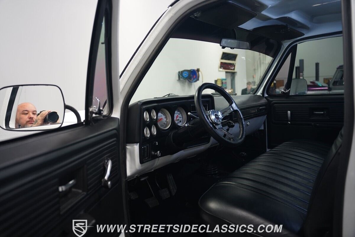Chevrolet-Other-Pickups-1979-Pickup-Truck-4