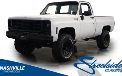 Chevrolet Other Pickups 1979 Pickup Truck
