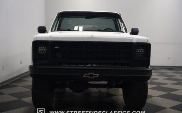 Chevrolet-Other-Pickups-1979-Pickup-Truck-5
