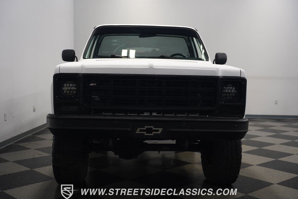 Chevrolet-Other-Pickups-1979-Pickup-Truck-5