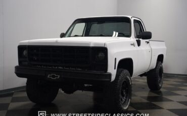 Chevrolet-Other-Pickups-1979-Pickup-Truck-6