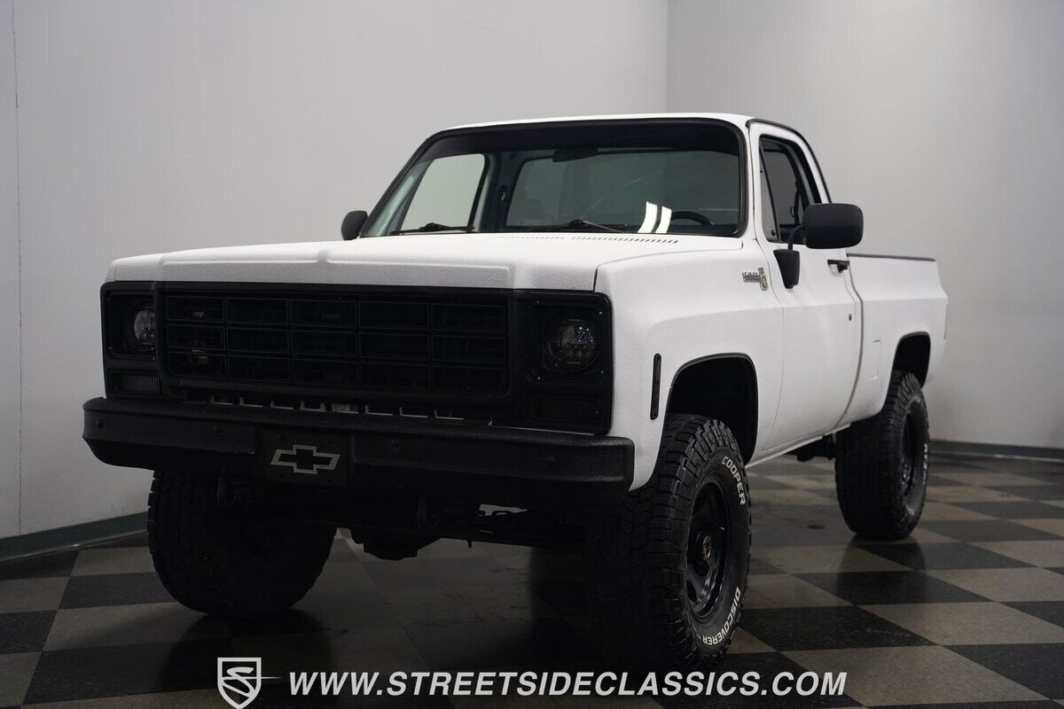 Chevrolet-Other-Pickups-1979-Pickup-Truck-6