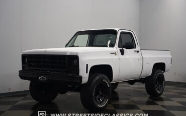 Chevrolet-Other-Pickups-1979-Pickup-Truck-7