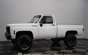 Chevrolet-Other-Pickups-1979-Pickup-Truck-8