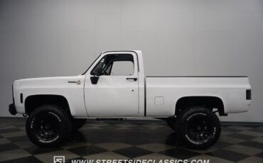 Chevrolet-Other-Pickups-1979-Pickup-Truck-9