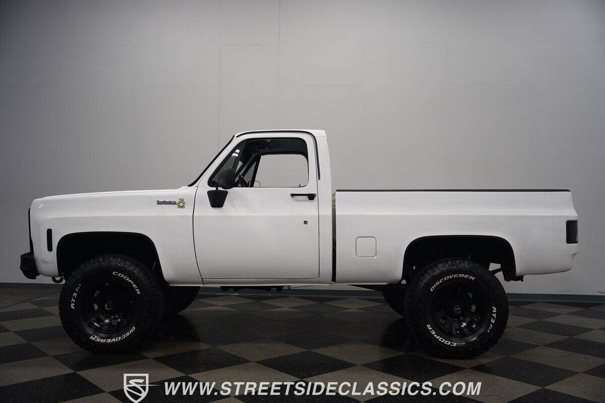 Chevrolet-Other-Pickups-1979-Pickup-Truck-9