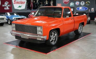 Chevrolet-Other-Pickups-1982-Truck-1