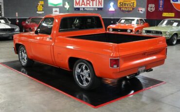 Chevrolet-Other-Pickups-1982-Truck-12