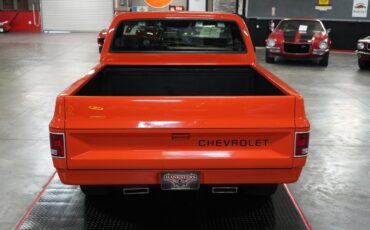Chevrolet-Other-Pickups-1982-Truck-13