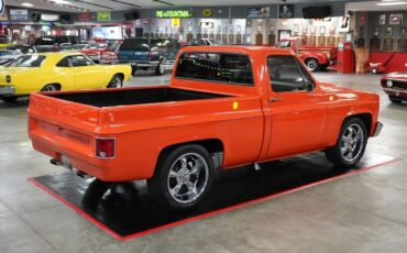 Chevrolet-Other-Pickups-1982-Truck-14