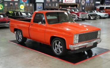 Chevrolet-Other-Pickups-1982-Truck-16