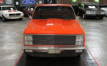 Chevrolet-Other-Pickups-1982-Truck-17