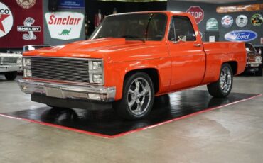 Chevrolet-Other-Pickups-1982-Truck-18