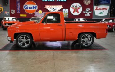 Chevrolet-Other-Pickups-1982-Truck-2