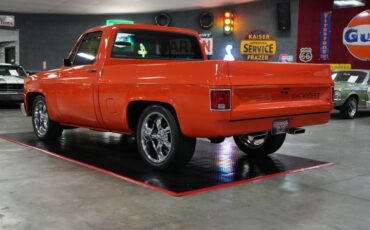 Chevrolet-Other-Pickups-1982-Truck-20