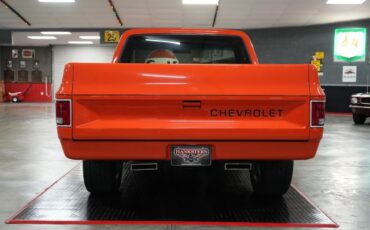 Chevrolet-Other-Pickups-1982-Truck-21