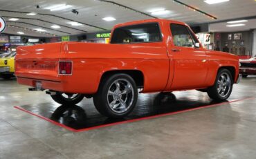 Chevrolet-Other-Pickups-1982-Truck-22