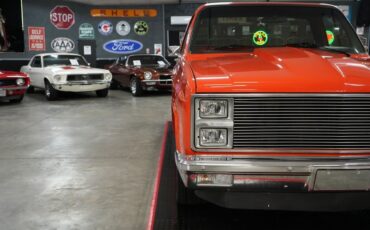 Chevrolet-Other-Pickups-1982-Truck-28