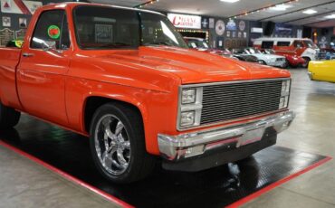 Chevrolet-Other-Pickups-1982-Truck-29