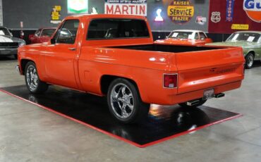Chevrolet-Other-Pickups-1982-Truck-3