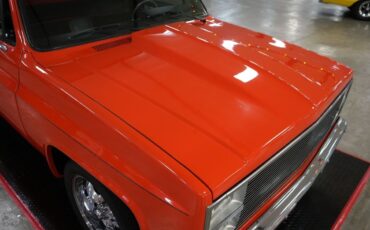 Chevrolet-Other-Pickups-1982-Truck-30