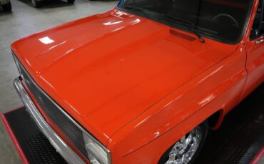 Chevrolet-Other-Pickups-1982-Truck-31