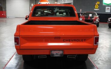 Chevrolet-Other-Pickups-1982-Truck-4