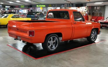 Chevrolet-Other-Pickups-1982-Truck-5