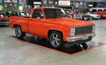 Chevrolet-Other-Pickups-1982-Truck-7