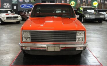 Chevrolet-Other-Pickups-1982-Truck-8