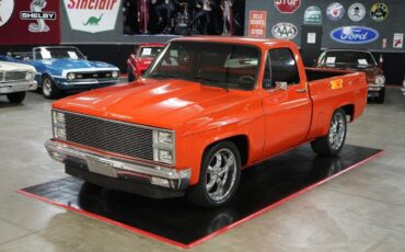 Chevrolet-Other-Pickups-1982-Truck-9