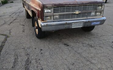 Chevrolet-Other-Pickups-1983-1