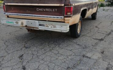 Chevrolet-Other-Pickups-1983-2