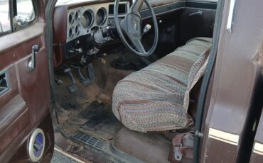Chevrolet-Other-Pickups-1983-3