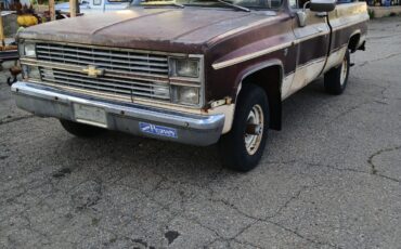 Chevrolet-Other-Pickups-1983