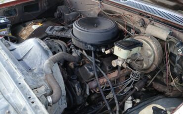 Chevrolet-Other-Pickups-1983-5