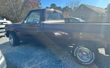 Chevrolet-Other-Pickups-1984-5