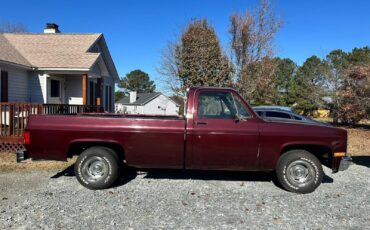 Chevrolet-Other-Pickups-1984-6